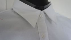 Women's Short Sleeve Classic White Oxford Shirt (Size 12)